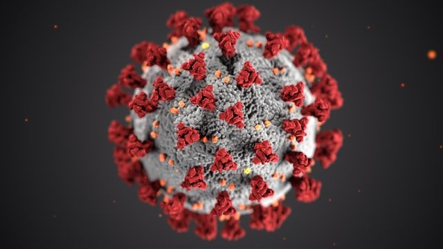 Ein grafisches Modell des Coronavirus mit den charakteristischen roten Krönchen.